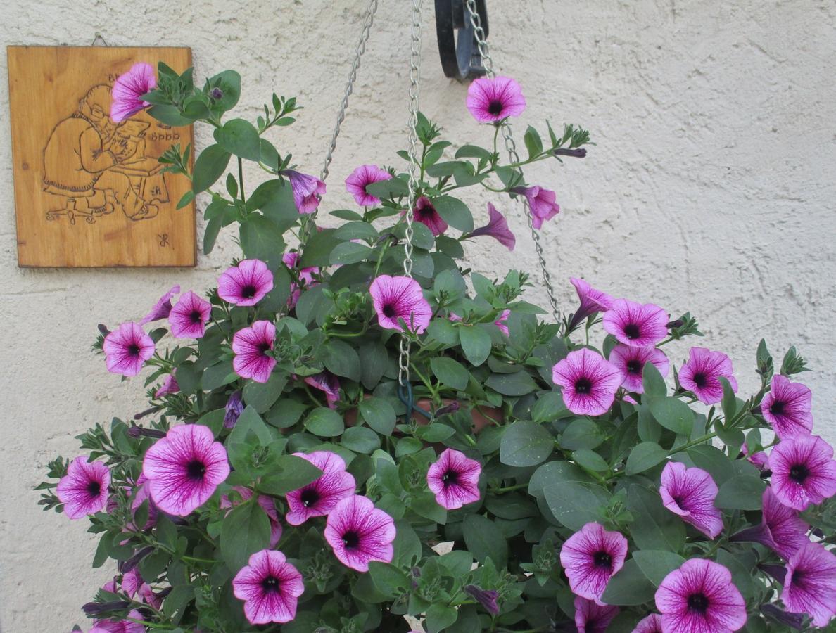 Bed&Breakfast Barba Bertu Frassino Exterior foto